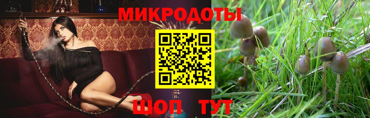 где купить   Псилоцибиновые грибы мицелий  Вход с VPN  Псилоцибиновые грибы GOLDEN TEACHER  Тула 