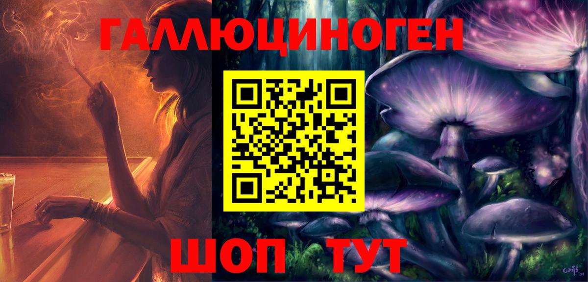 Галлюциногенные грибы Psilocybe Тула
