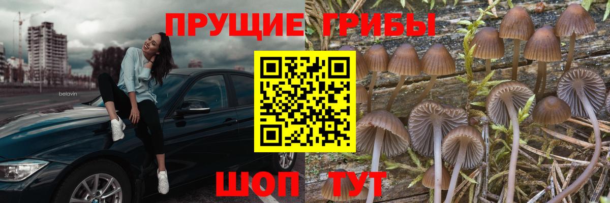Вейп ТГК  Codein  Мефедрон   Альфа ПВП СК   ГАШИШ  Кокаин  Тула  Канабис  Вход с VPN 